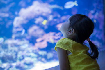 水族館の水槽で泳ぐ魚を見つめる子ども