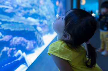 水族館の水槽で泳ぐ魚を見つめる子ども