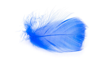 Blue feathers texture