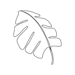 Drawing vector monstera leaf  silhouettes on white background.