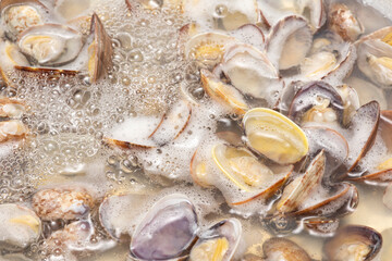 鍋でアサリを煮る