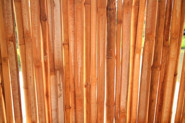 Elevation of bamboo fence with sun rays leaking through
