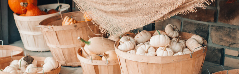 Fototapeta na wymiar Red, white pumpkins in baskets by store on farm. Autumn fall harvest. Thanksgiving and Halloween holiday preparation. Colorful fresh seasonal vegetables. Web banner header.