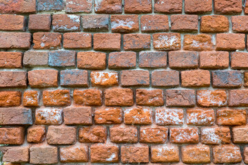 Ancient brick wall peeled from plaster as vintage background