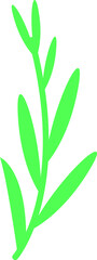 element of green grass vector