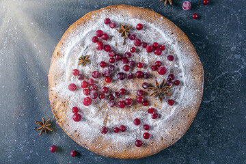Christmas pie decorated with powdered sugar and cranberries. New year winter dish on dark rustic background