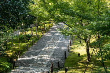 京都　高台寺