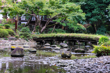 日本庭園 橋 川 秋