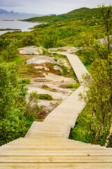 Walkway and fjord landscape, Lofoten Norway