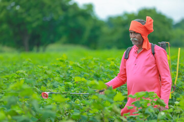 indian farmer spraying pesticide at cotton field