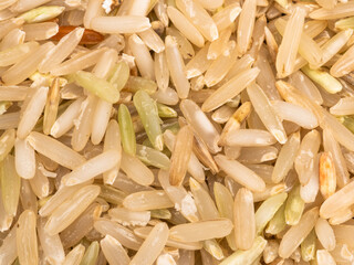 Uncooked organic brown rice in close up