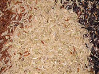 Mix of uncooked organic brown rice and little of riceberry rice and germinated brown rice