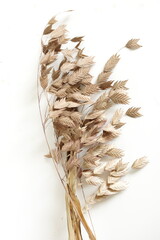 Dry beige grass on white background top view. Interior poster