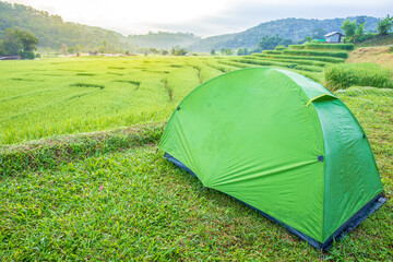 Green camping tent with Beautiful sunruse scene of rice paddies field at Ban Mae Klang Luang, Doi Inthanon National Park,Chiang Mai,Thailand.