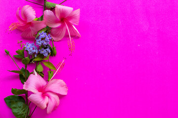 pink flowers hibiscus with little purple flowers local flora of asia arrangement flat lay postcard style on background colorful pink