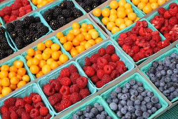 colorful berries 