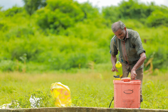 indian labour liquid fertilizer mixing in bucket at field