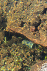 Trash on the bottom of the river