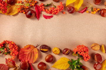 Autumn background with autumn leaves, chestnuts and berries, an overhead flat lay shot with a place for text on a brown background
