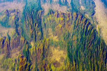 Algae on the river bottom. Top view through the water. The picture was taken in autumn in Russia, in the city of Orenburg