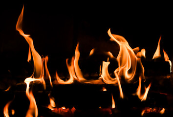 Naklejka premium Red blaze Fire flame on a black background