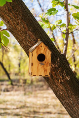 Wooden birdhouse attached to a tree trunk in a city park. The picture was taken in autumn in Russia, in the city of Orenburg