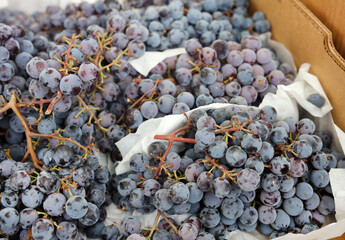 fresh market grapes 