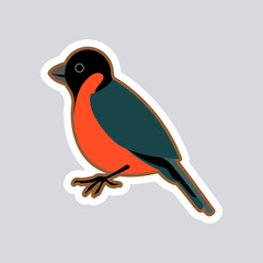 Bullfinch. Isolated vector illustration.