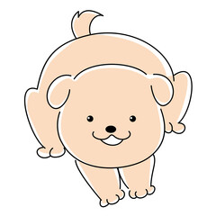 子犬　白　イラスト素材