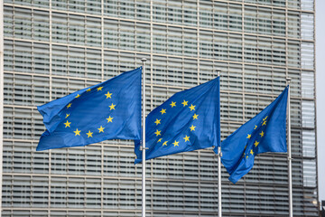 europe europeen union euro politique commission conseil parlement depute elections  drapeau etoiles