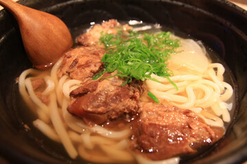 Close up shot of Japanese style Udon