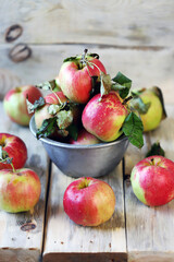 Selective focus. Fresh autumn apples in a bowl on a wooden surface. Harvest apples.