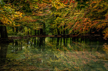 Autumn colors at the pond