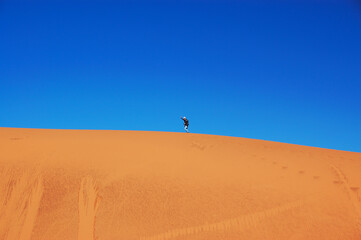 Fototapeta na wymiar Man walking on beautiful dune of Namib desert, traveling and hiking in South Africa 