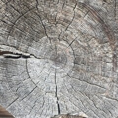 old wood texture