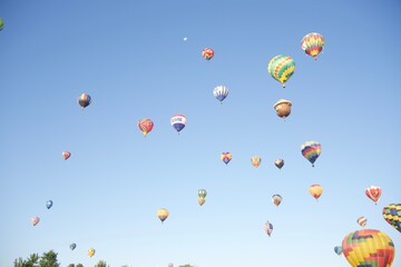 hot air balloons high in blue sky