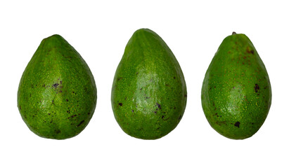 Avocado composition for background design. Tropical fruit styled into patterns for wallpaper