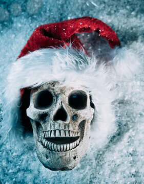 Skull with Santa hat in the snow
