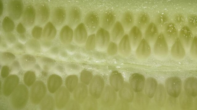 Cut the cucumber close-up. Half a cucumber. Juicy flesh and seeds.