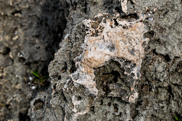 Volcanic Rock Formation