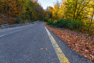 Asphalt road along the mountains in the autumn season