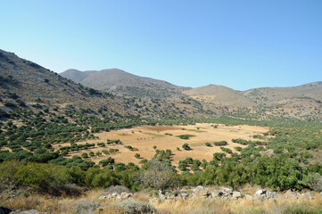 Fototapeta na wymiar L'acropole orientale de Dréros près de Néapolis en Crète