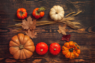 Flat lay Still life Autumn mood. Pumpkins, persimmon, wheat ears, maple leaves on a brown wooden background