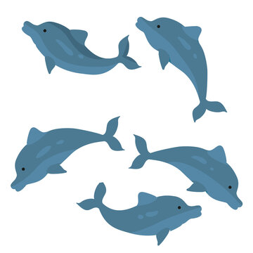 set of dark blue dolphins, cartoon illustration, isolated object on white background, vector,