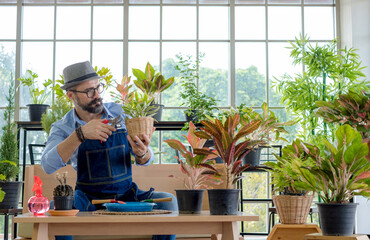 An elderly man wearing handsome glasses and a beard enjoys taking care of trees, pruning trees with...