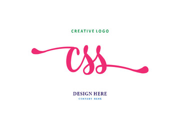 simple CSS typeface logo is easy to understand, simple and authoritative