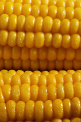 Cooked corn,  healthy vegan snack