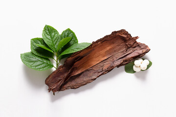 Eco composition on white background. Top view. Close-up eco friendly decoration and background for your product. Green leaves, white berries and tree bark. Ecological concept.