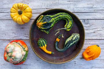 Autumn decorative pumpkins in the vintage bowl. Halloween decoration.