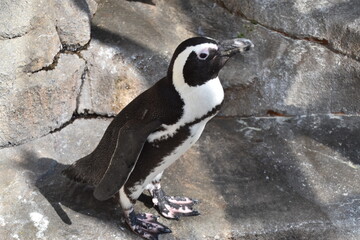 Aquarium in Sendai City, Japan